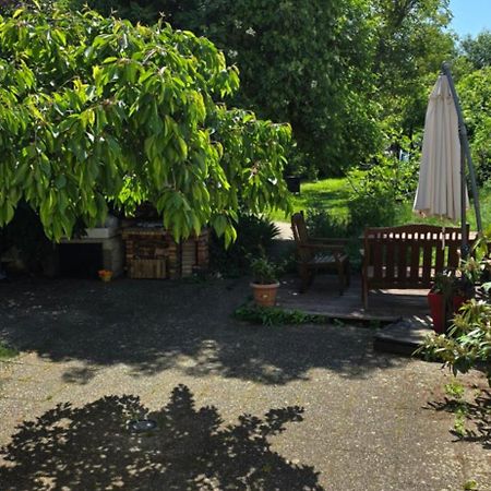 Appartement Avec Jardin A Colmar Exterior photo