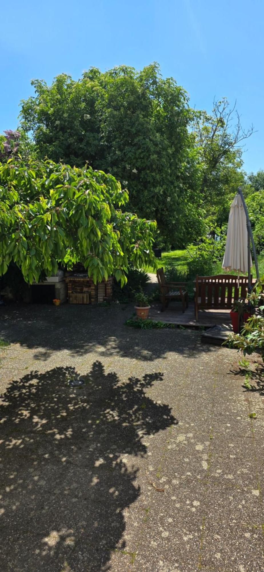 Appartement Avec Jardin A Colmar Exterior photo