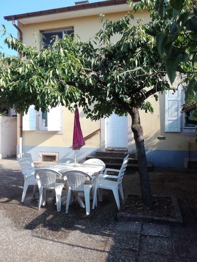 Appartement Avec Jardin A Colmar Exterior photo