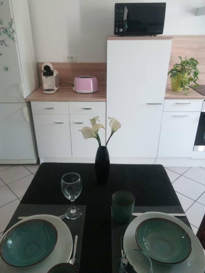 Appartement Avec Jardin A Colmar Exterior photo