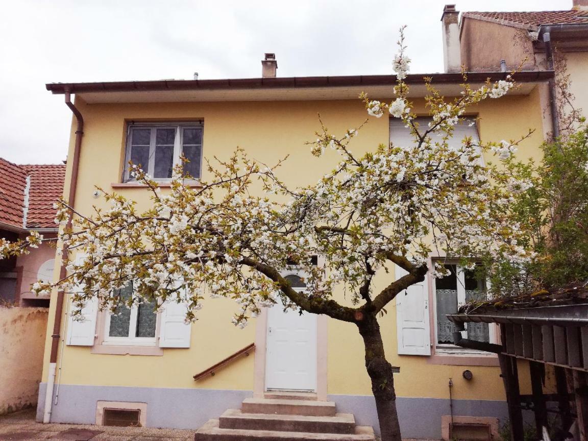 Appartement Avec Jardin A Colmar Exterior photo